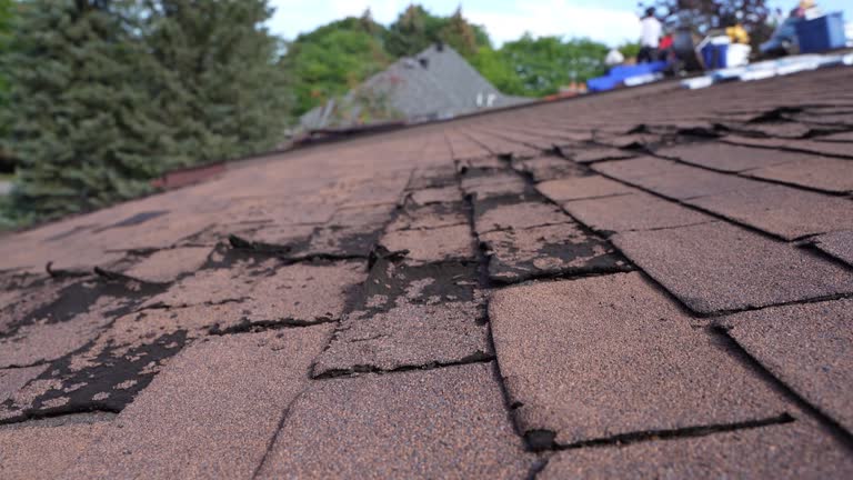 Trusted Melrose Park, NY Roof Repair & Installaion Experts